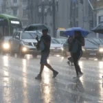 Tempestade em SP: 28 árvores caem e 31 mil ficam sem energia