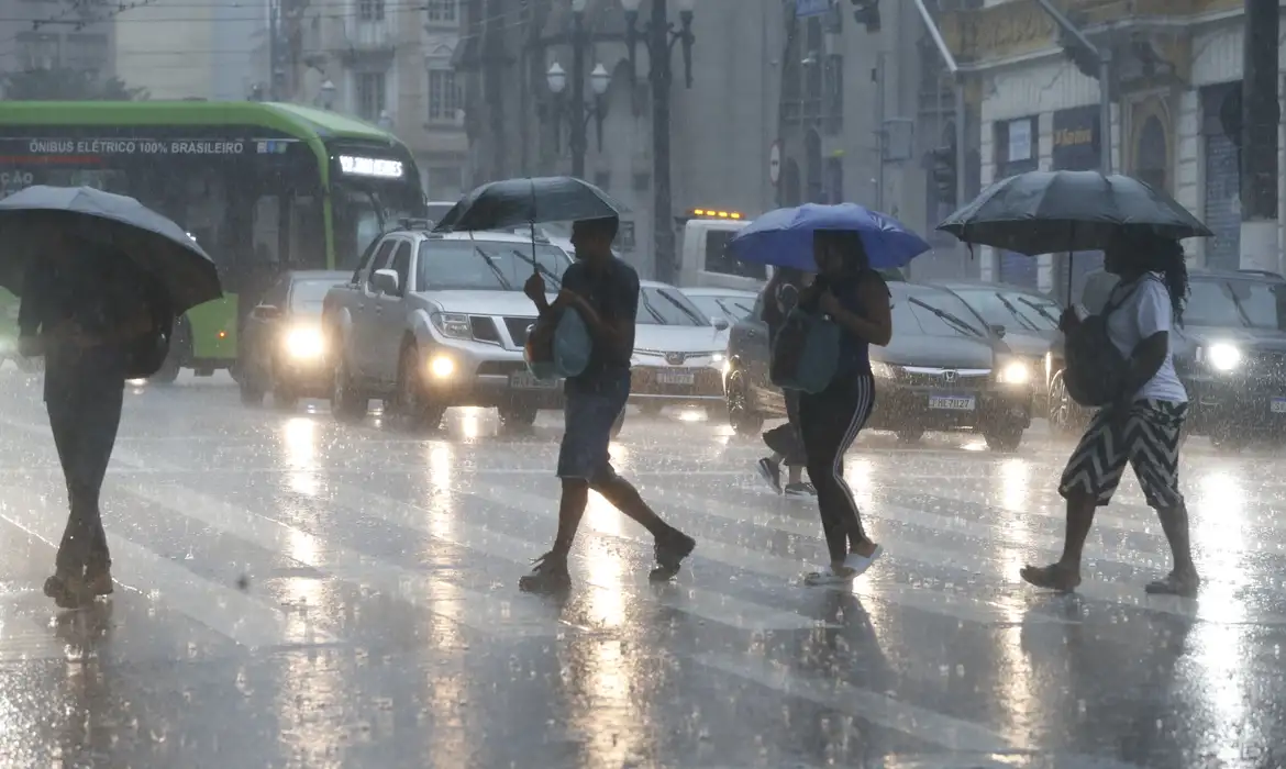 Tempestade em SP: 28 árvores caem e 31 mil ficam sem energia