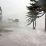 Tornado em Santa Catarina: Defesa Civil investiga tempestade intensa