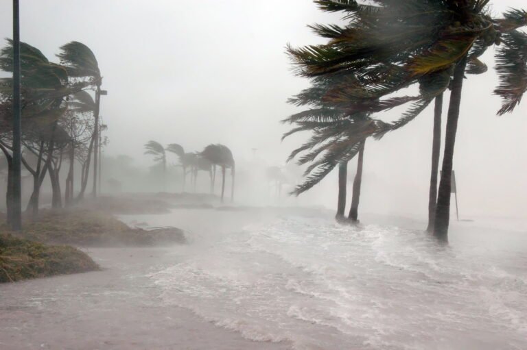 Tornado em Santa Catarina: Defesa Civil investiga tempestade intensa
