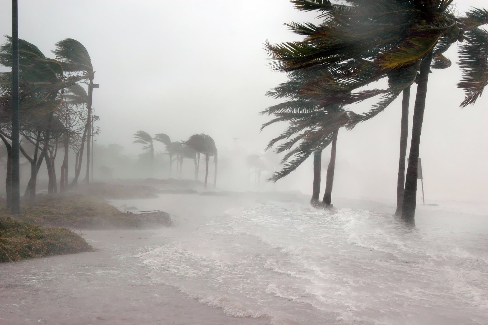 Tornado em Santa Catarina: Defesa Civil investiga tempestade intensa