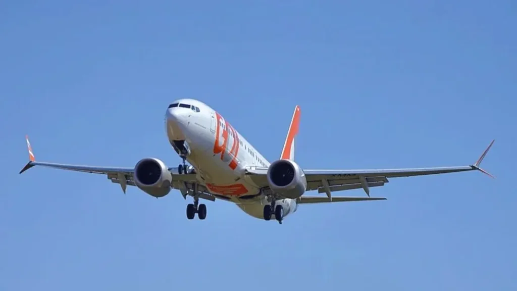 Avião da Gol retorna a Recife após colisão com ave