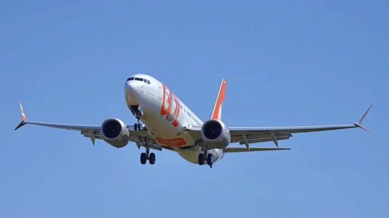 Avião da Gol retorna a Recife após colisão com ave