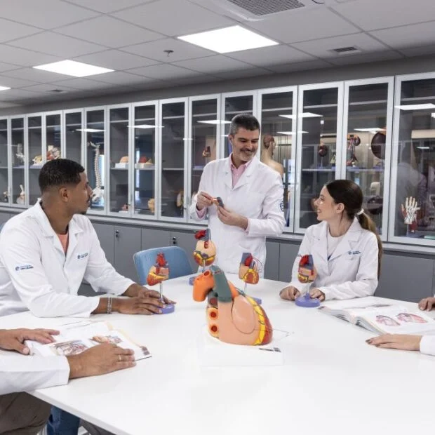 Câmara aprova Enamed como requisito para médicos atuarem