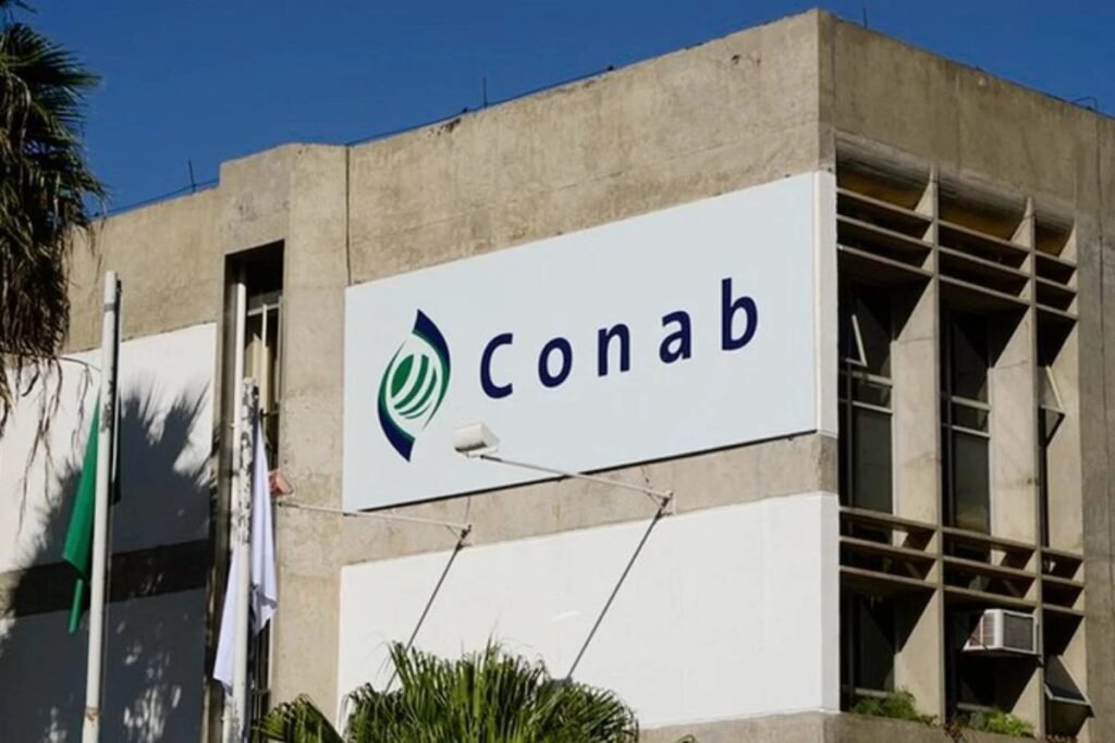 Conab é alvo de hackers e adverte sobre vulnerabilidades sistêmicas