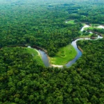 Desmatamento na Amazônia atinge menor nível em 41 anos com Lula