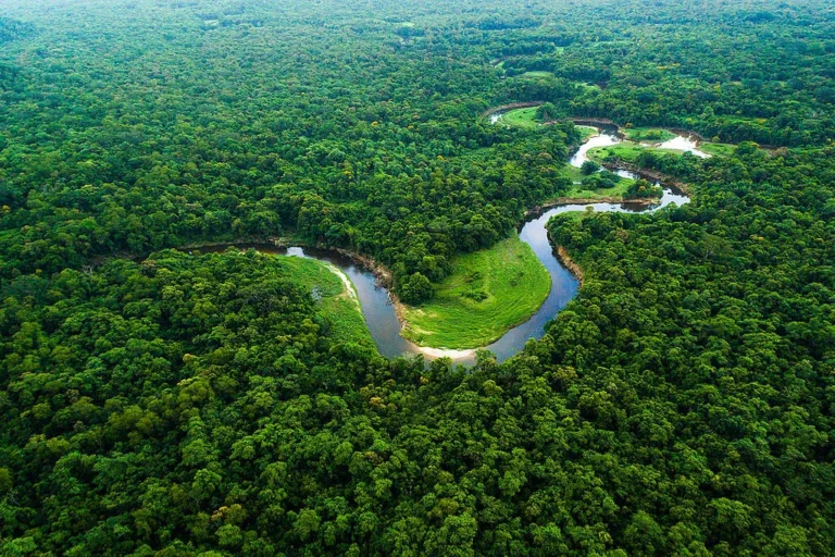 Desmatamento na Amazônia atinge menor nível em 41 anos com Lula