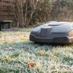Erro de Mähroboter que pode arruinar seu gramado na primavera