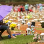 Feriados de Novembro: Conheça as Datas Imperdíveis!