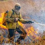 Ibama multa R$ 2 milhões por incêndios na Amazônia