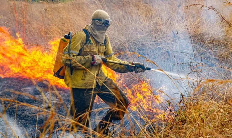 Ibama multa R$ 2 milhões por incêndios na Amazônia
