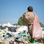 Queda do Trabalho Infantil no Brasil: Impacto do Bolsa Família